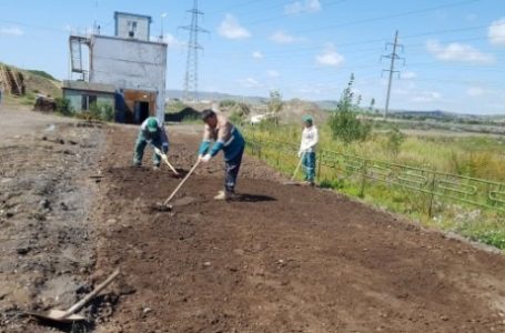 Дулааны цахилгаан станцын үнс, төв цэвэрлэхийн лагийг ашиглан үнсэн санд биологийн нөхөн сэргээлтийн туршилтыг явууллаа